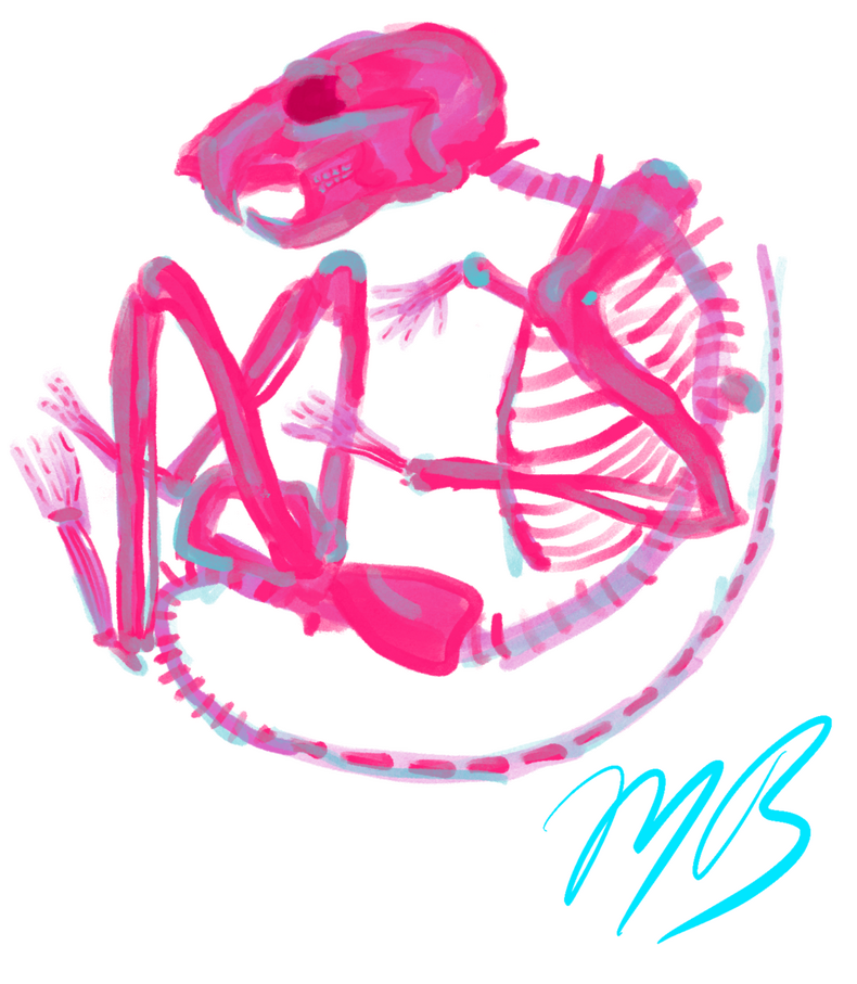Diaphonized rat Diaphonized rat